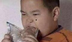 网红吃瓜胖子图片搞笑,搞笑瞬间引网友爆笑热议！